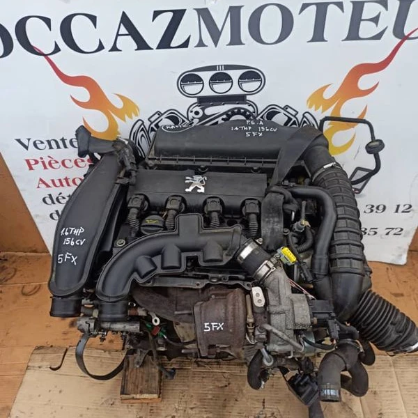 2zm5ut6o