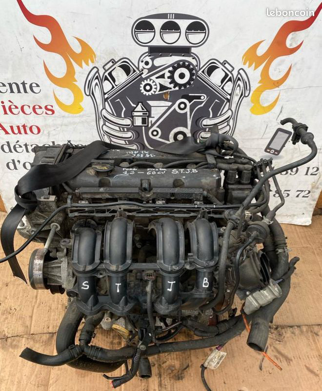 adobeexpressphotos-1d77637dd22545ecb40888e1f726f736-copyedited