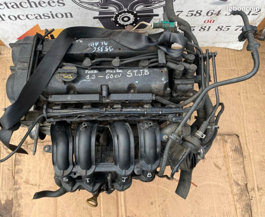 adobeexpressphotos-ba3975825fe44a7f9dae8a84a99da132-copyedited