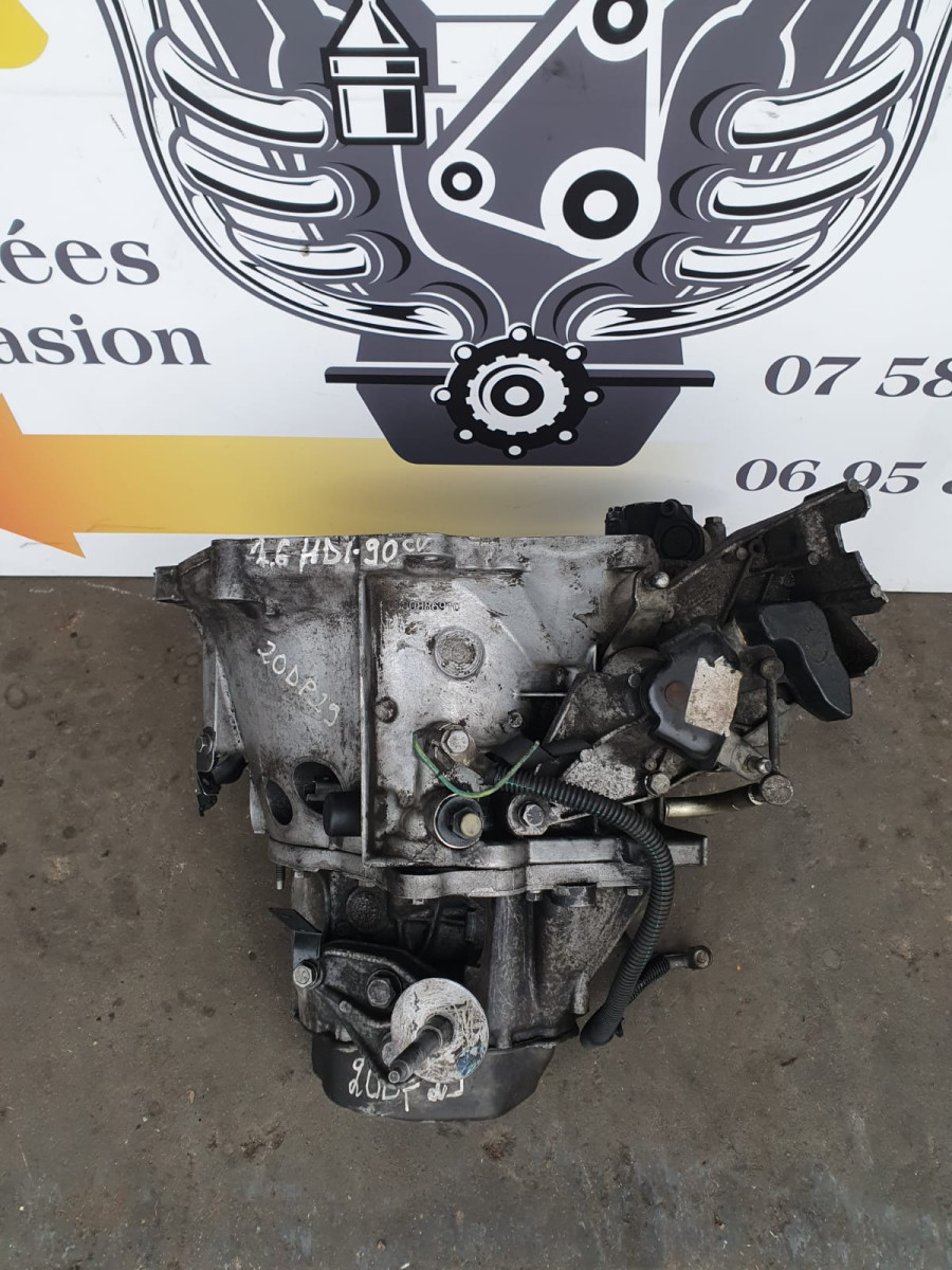 whatsapp-image-2025-12-12-a-12-32-56-6049d2b1