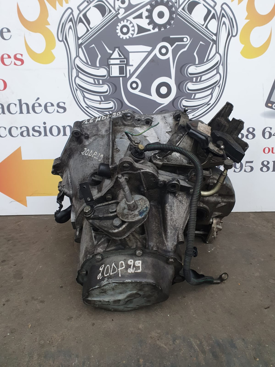 whatsapp-image-2025-12-12-a-12-32-56-91247886