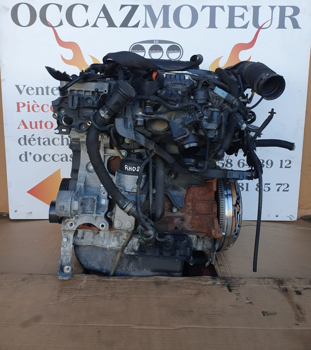 whatsapp-image-2026-01-06-at-12-31-22-1-2