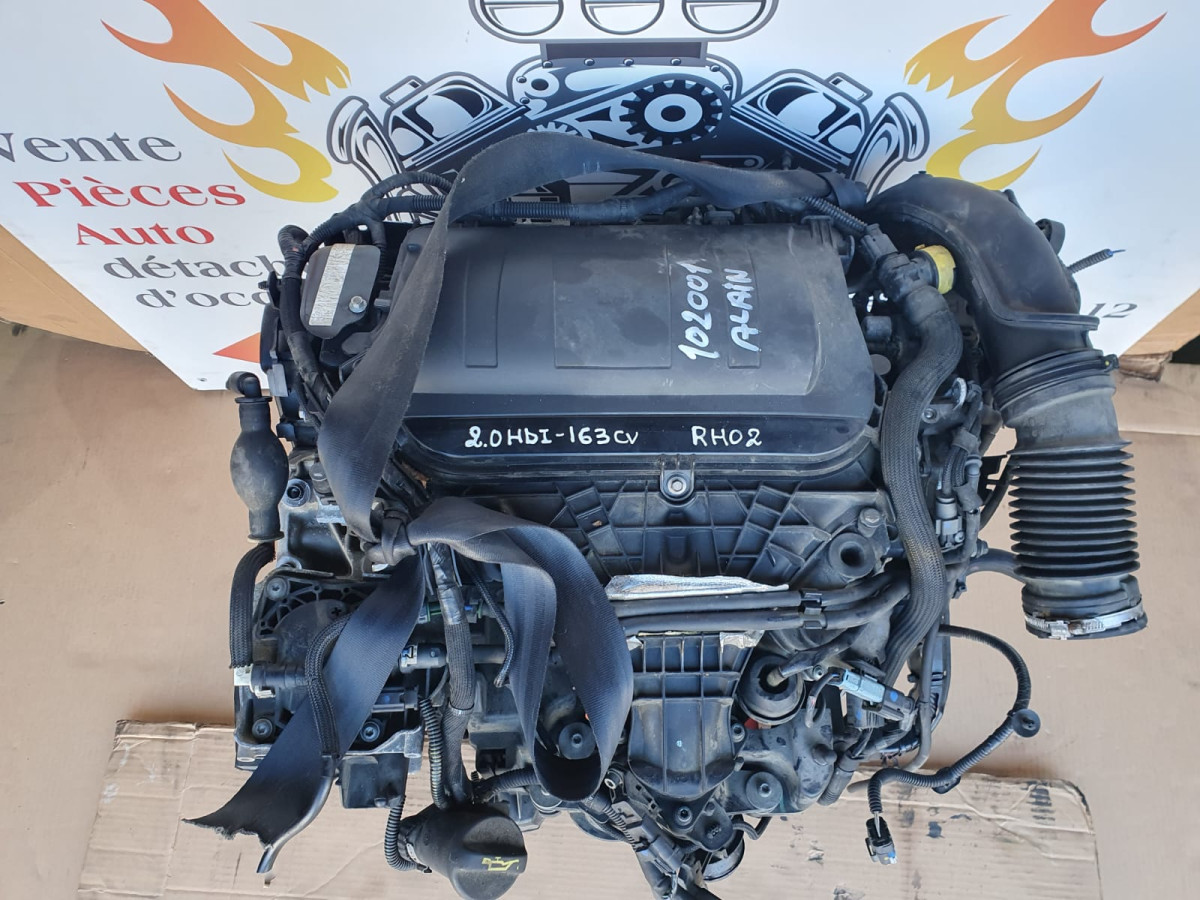 whatsapp-image-2026-01-06-at-12-31-22-2-2