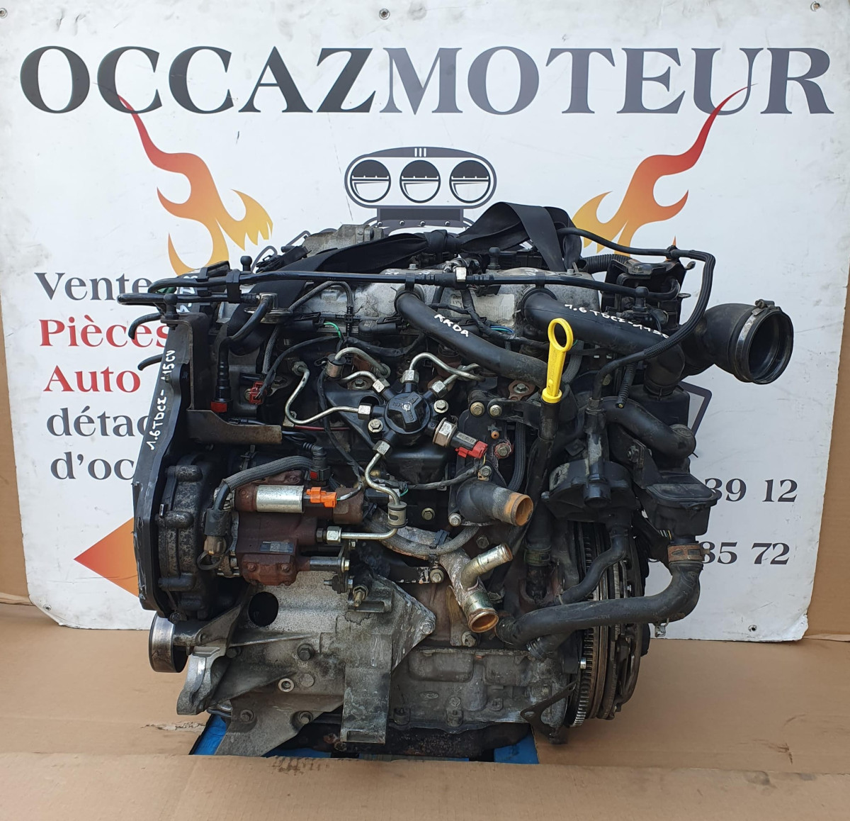 whatsapp-image-2026-07-08-at-13-35-44
